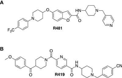 Brain Permeable AMP-Activated Protein Kinase Activator R481 Raises Glycaemia by Autonomic Nervous System Activation and Amplifies the Counterregulatory Response to Hypoglycaemia in Rats